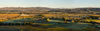 Panorama of Waipara Vineyards