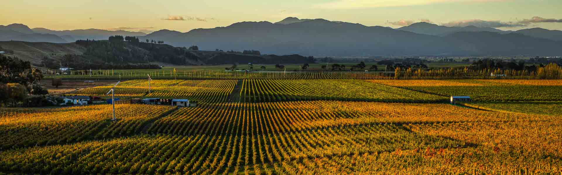 Marlborough Wine Region New Zealand